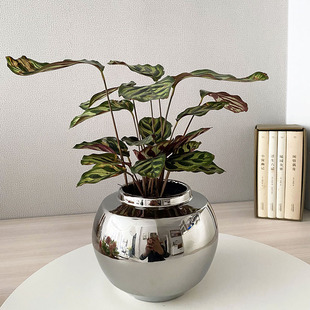 奢华极简陶瓷镜面银色圆球型花瓶绿植田园风水培花器台面飘窗摆设