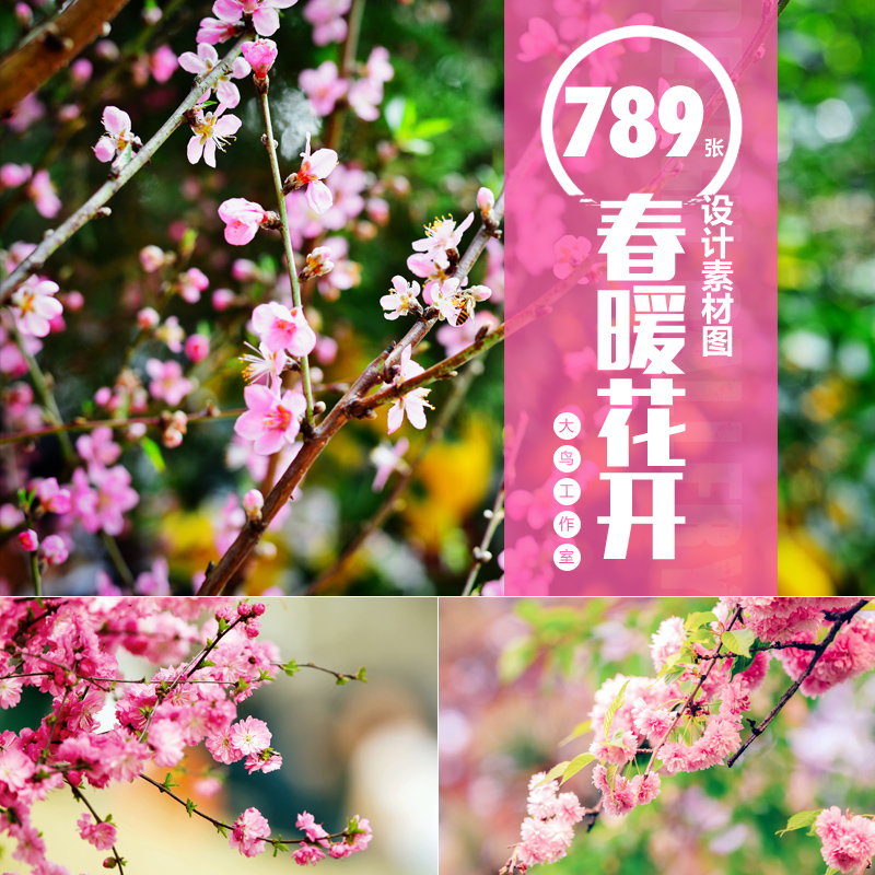 春暖花开设计素材大图春天鲜花风景唯美春色小清新花卉jpg图片
