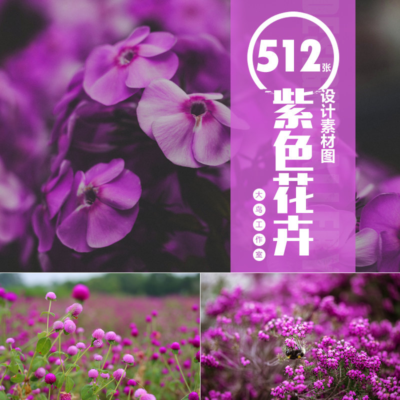 梦幻紫色花卉设计素材大图唯美鲜花蓝紫色花朵图片