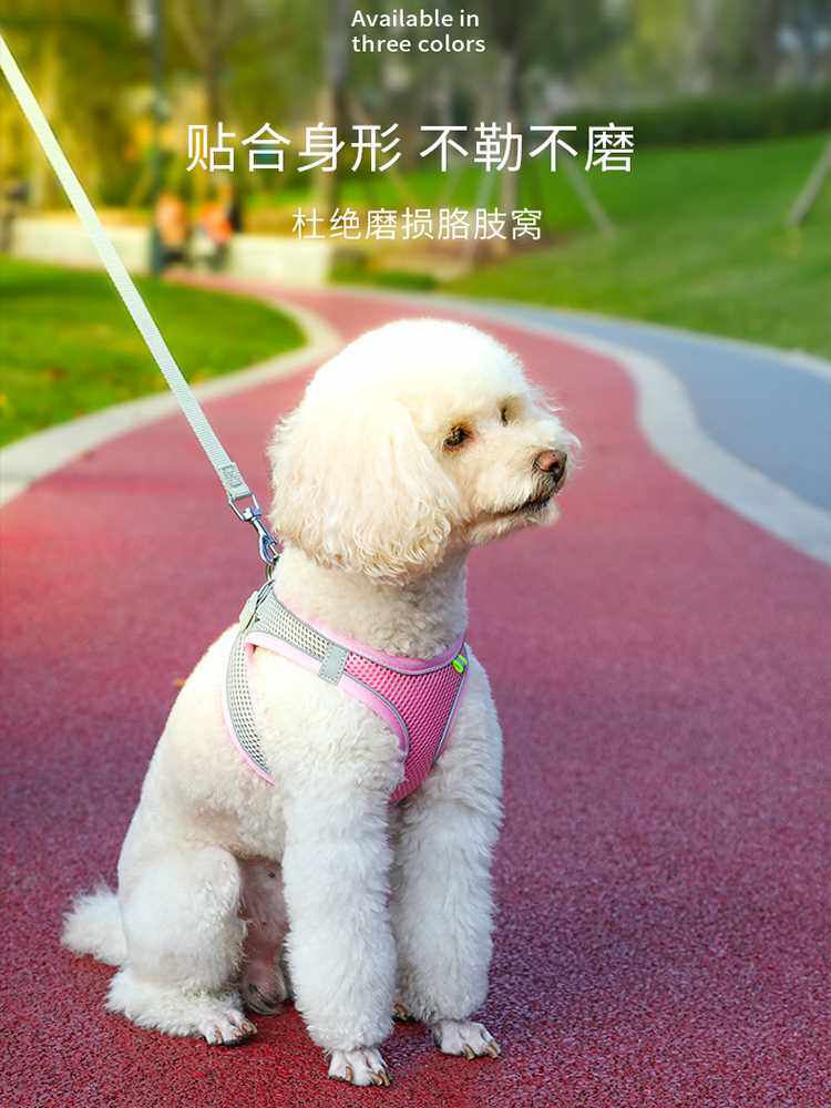 中小型犬牵引绳狗绳链子宠物遛狗溜猫绳子拴狗小狗泰迪牵应绳背带