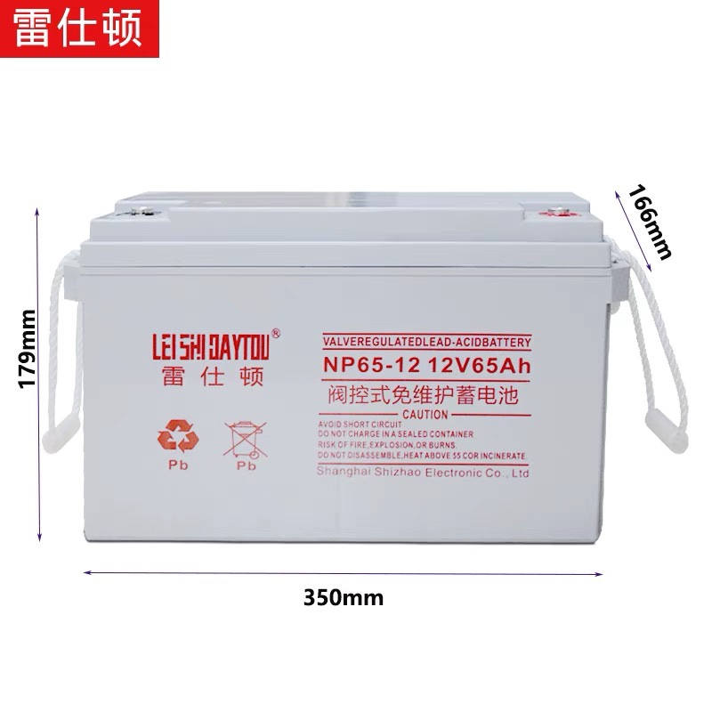 雷仕顿UPS电源用铅酸免维护蓄电池12V65AH/38AH/24AH/17AH/100AH