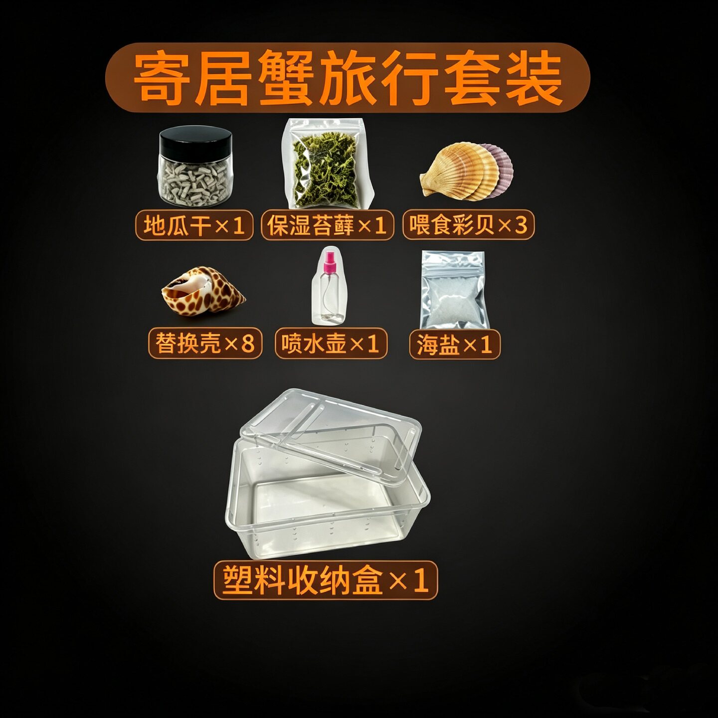寄居蟹全套用品配件物品配套活体寄居蟹宠物换壳蜕皮旅游套装包邮