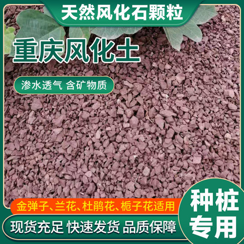 天然风化石风化土颗粒绿植营养土