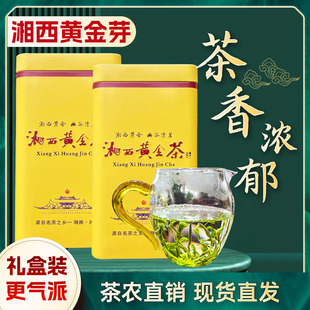 2025新茶保靖黄金茶手工黄金一号绿茶高山云雾茶农直销罐装礼盒装