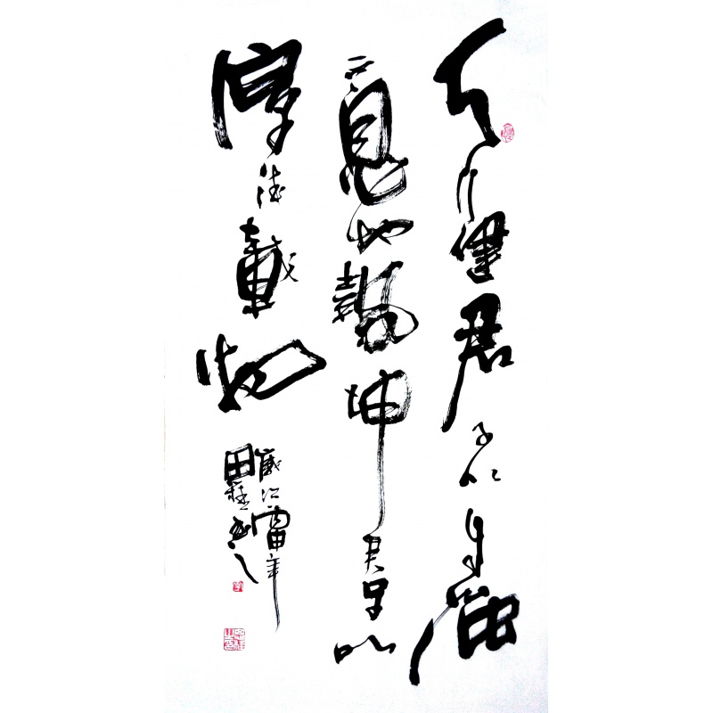 李思桂书法作品名家字画书法中国书协会员三尺竖幅天行健君子D