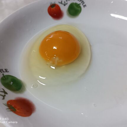 非标土鸡蛋 山野食物混杂致色差大且个头不均相对偏小 介意慎拍