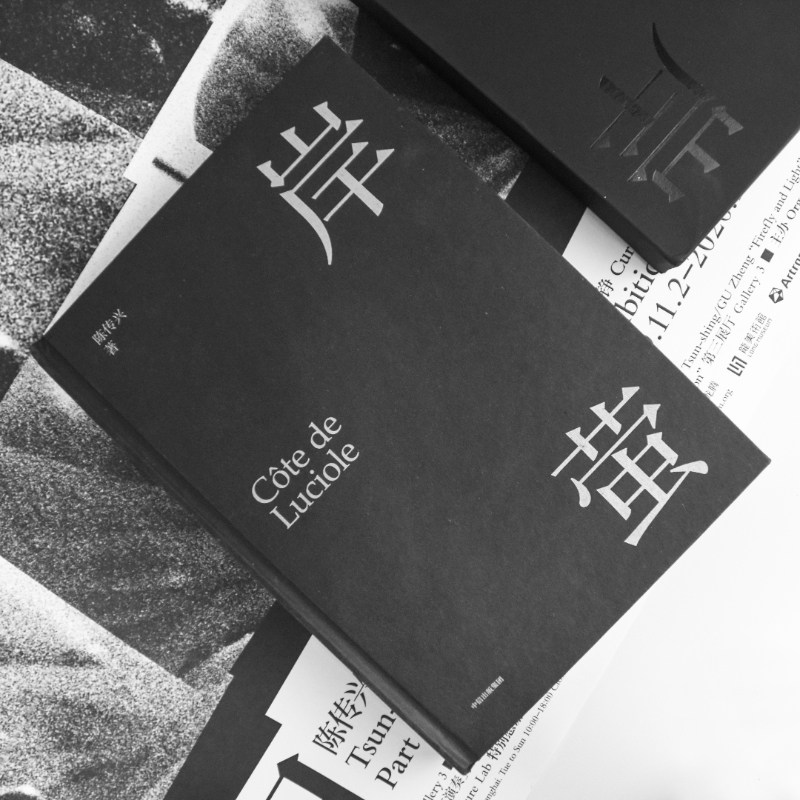 ▼【正版包邮】岸萤 陈传兴 在思想狂欢与酒神祭礼中捕获萤火的人文学