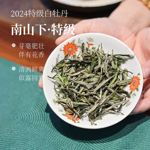 深山行福鼎白茶南山下特级牡丹
