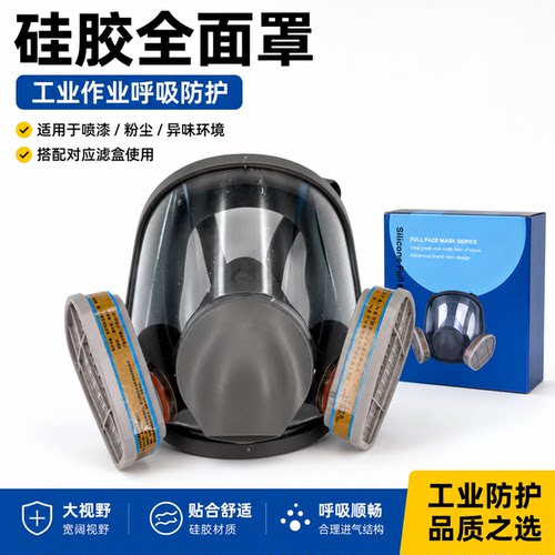 巴森顿全面罩防毒防尘面具工业喷漆打磨装修异味粉尘防护面罩
