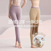 中老年发热保暖裤 棉裤 秋裤 女士含羊毛护膝红豆居家加绒加厚冬季