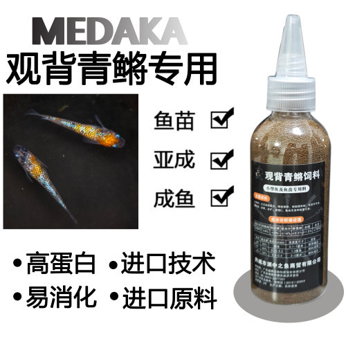 观背青鳉鱼食专用厂小型观赏鱼