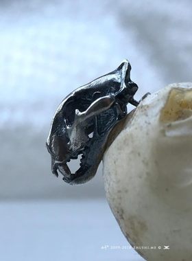 主师原创防过敏剑齿虎耳坠