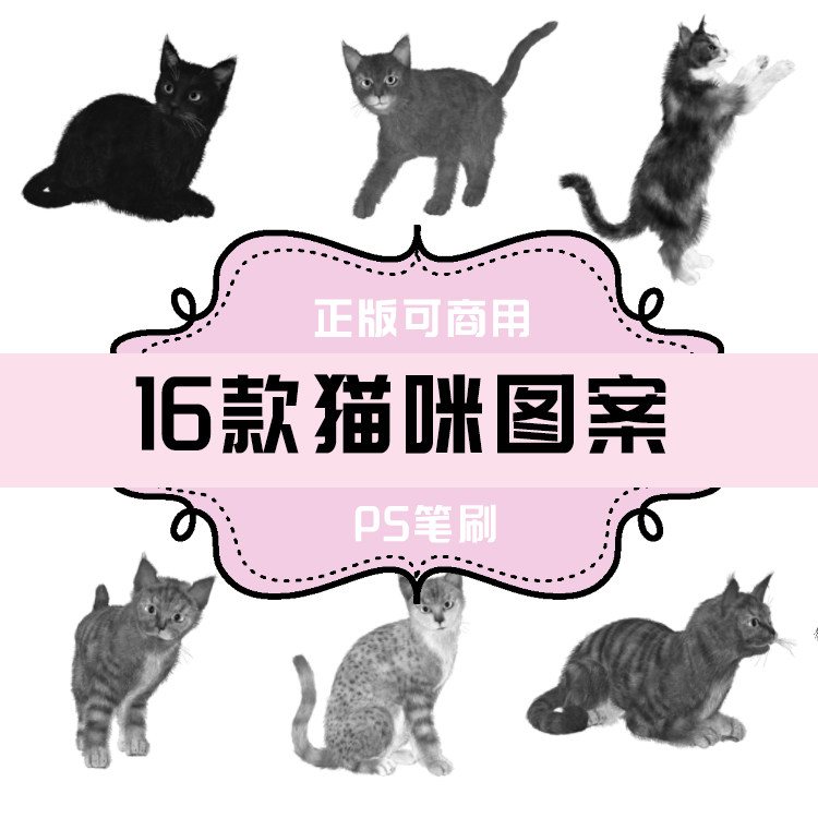 b161 ps笔刷 猫咪小猫图案 仿真猫咪16款