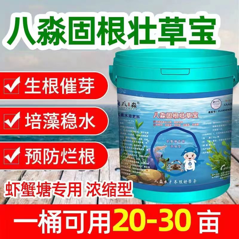 固根生草宝八淼生根保草长伊乐藻