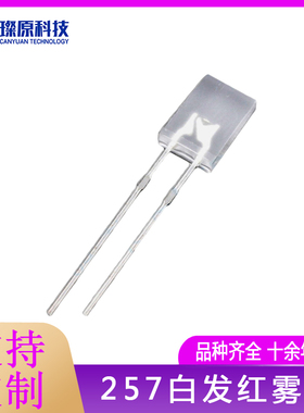 F2*5*7方形白发红灯 有边雾状 带磨砂高亮LED发光二极管灯珠红色