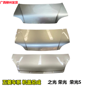 五菱之光机盖总成带漆