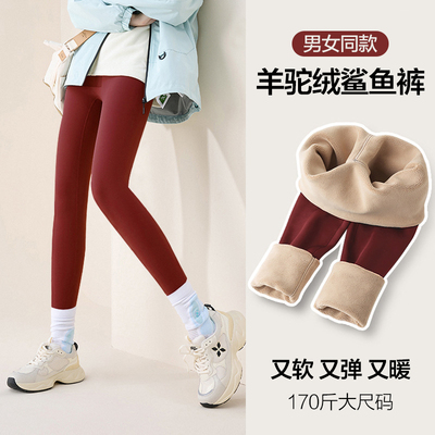 男士鲨鱼裤男女同款保暖打底裤