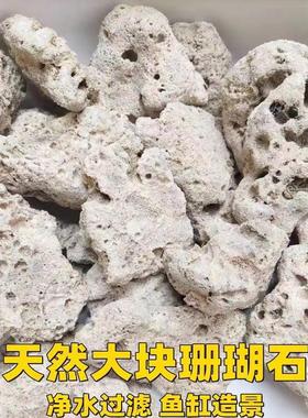 鱼缸过滤珊瑚石造景海鲜池锦鲤鱼池专用天然珊瑚骨底砂滤材大块
