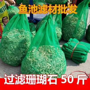 鱼池滤材珊瑚石大块鱼缸过滤天然珊瑚骨海鲜池珊瑚石活性炭无漂白