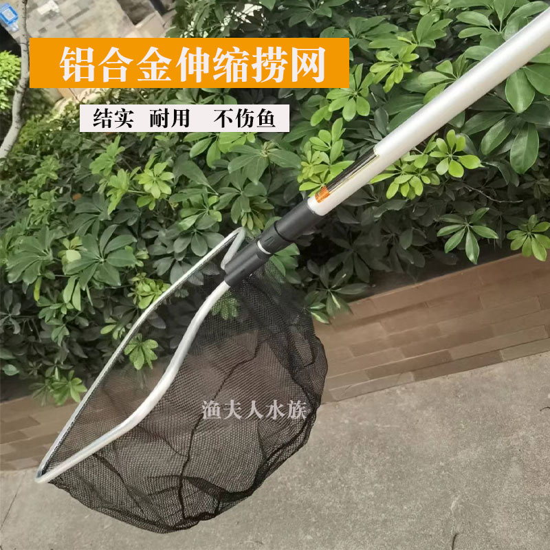 鱼池捞网结实耐用方形网伸缩抄网