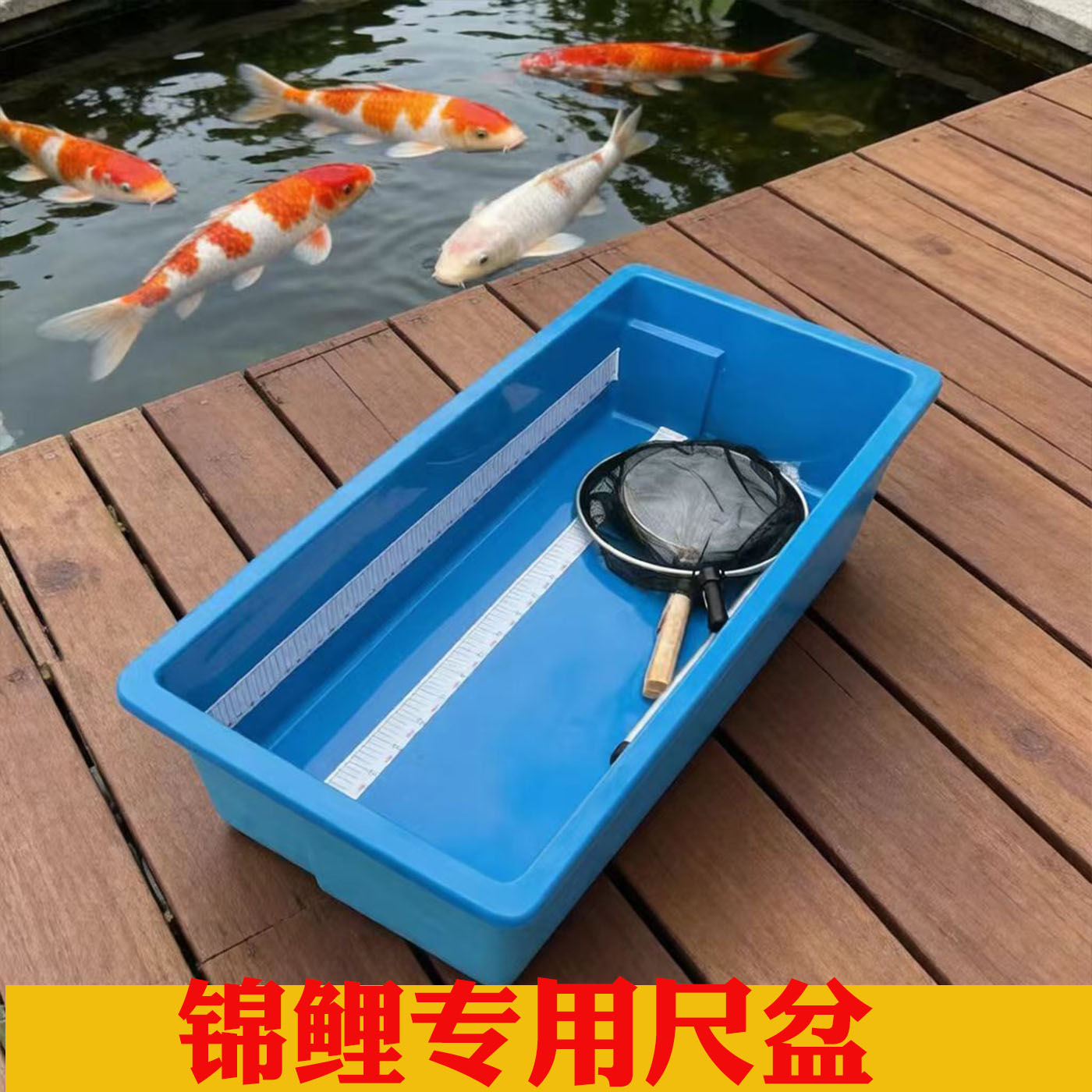 锦鲤测量盆加厚尺盆鱼场专用蓝盆拍照盆量尺方形盆玻璃钢展示盆