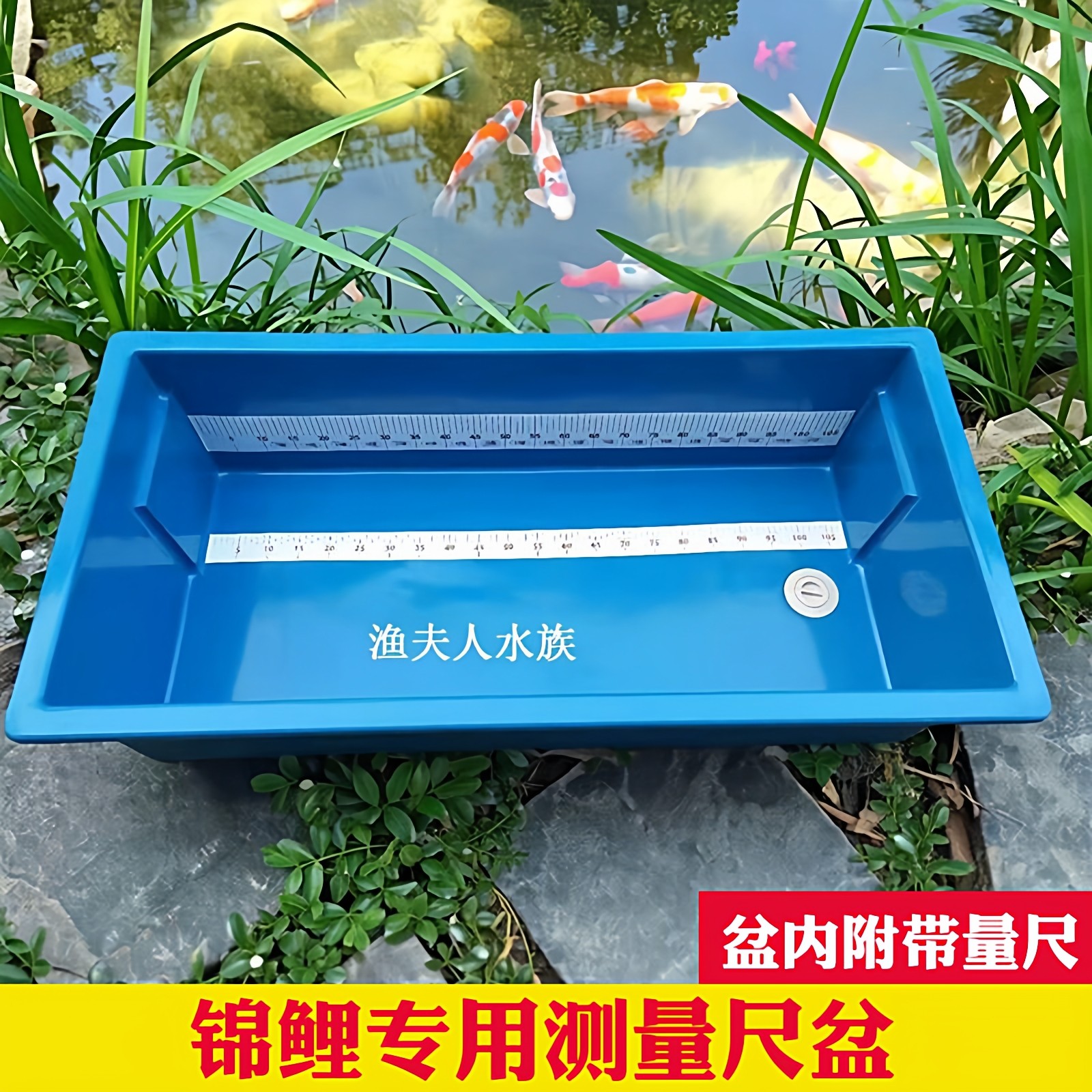 锦鲤测量盆尺盆龙鱼专用蓝色盆1.2米方形量尺防水度量池治疗蓝盆