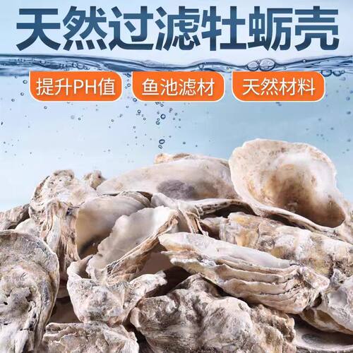 蚝壳滤材鱼池锦鲤池过滤材料牡蛎壳调节酸碱度火烧生蚝壳PH值平衡