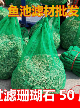 鱼池滤材珊瑚石大块鱼缸过滤天然珊瑚骨海鲜池珊瑚石活性炭无漂白