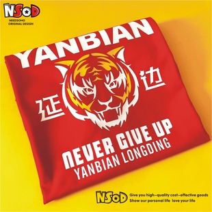 延边龙鼎T恤短袖足球衣服中甲主场球迷助威衫圆领半袖夏季运动新