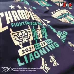 CBA辽宁男篮短袖T恤本钢篮球球迷衣服郭艾伦赵继伟张镇麟杨鸣新