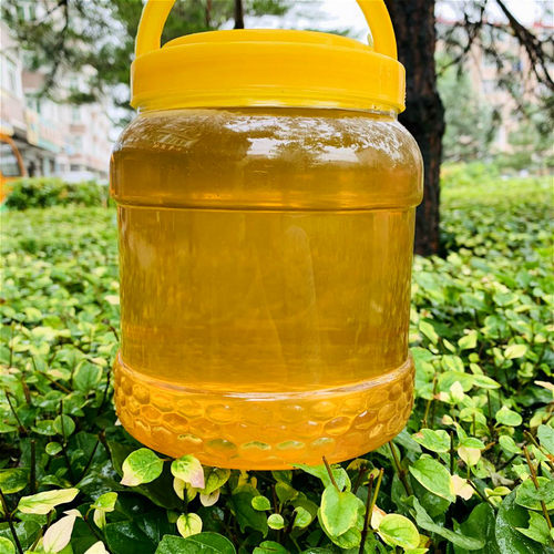 东北特产蜂蜜黑龙江自然精品5斤