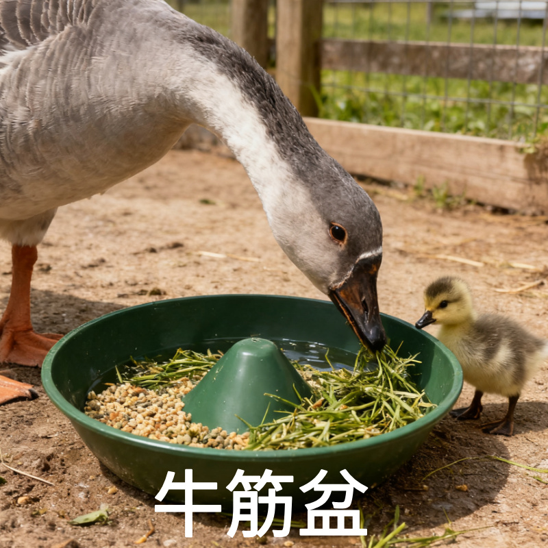 牛筋圆形喂鸡料盆鸭鹅猫狗喂食盆