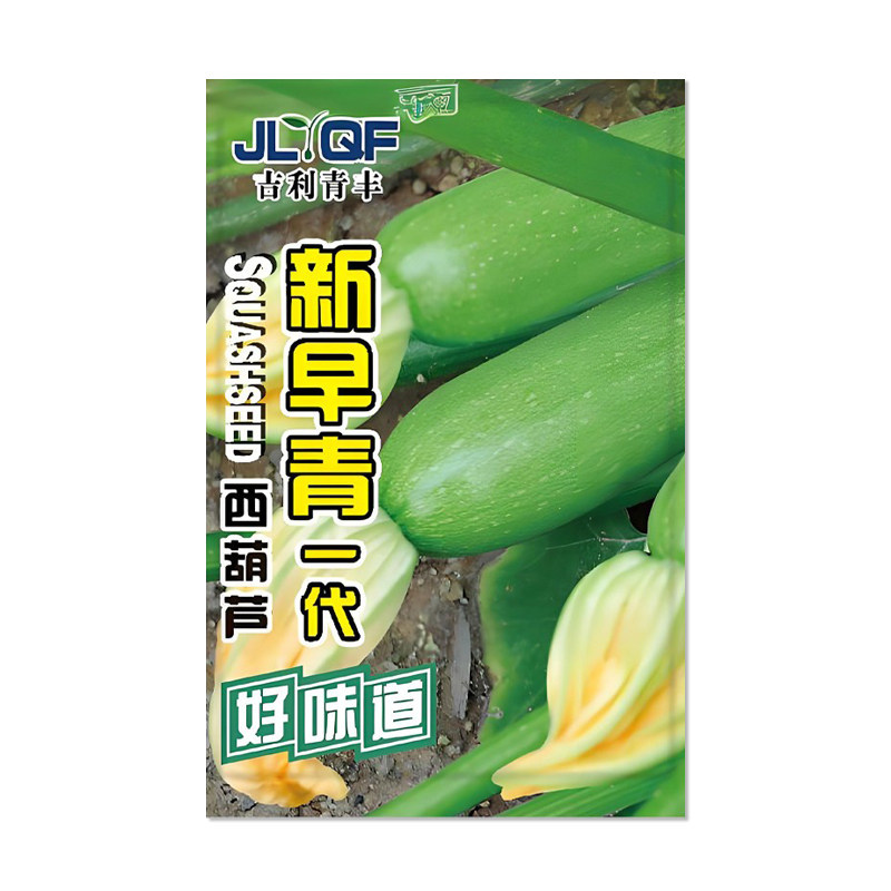 吉利青丰新早青一代西葫芦种子