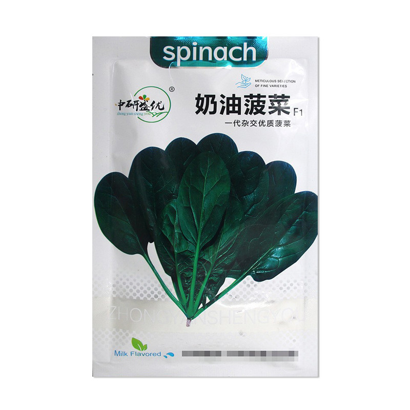 中研盛优奶油菠菜种子