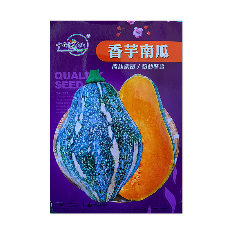 中研盛优香芋南瓜种子