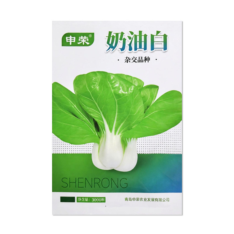 申荣奶油白小白菜种子