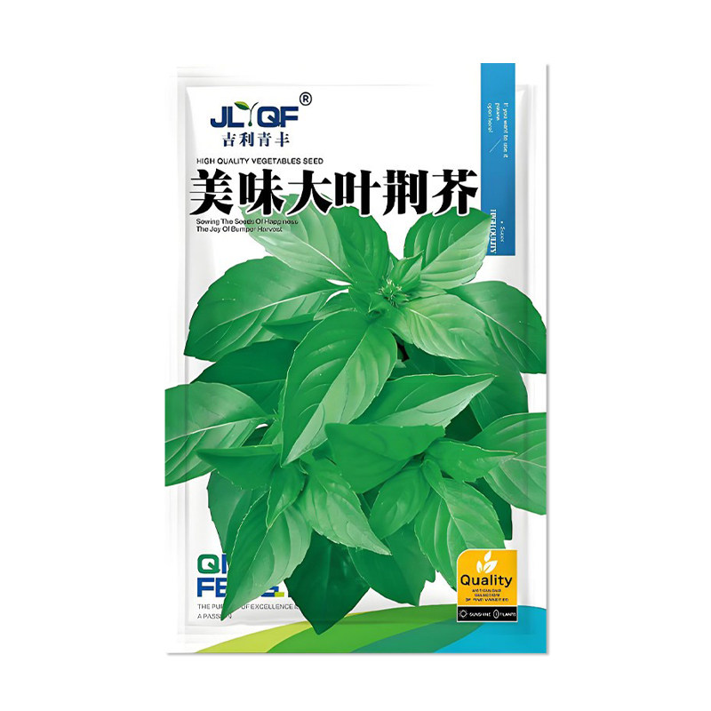 吉利青丰大叶荆芥种子荆芥菜种籽