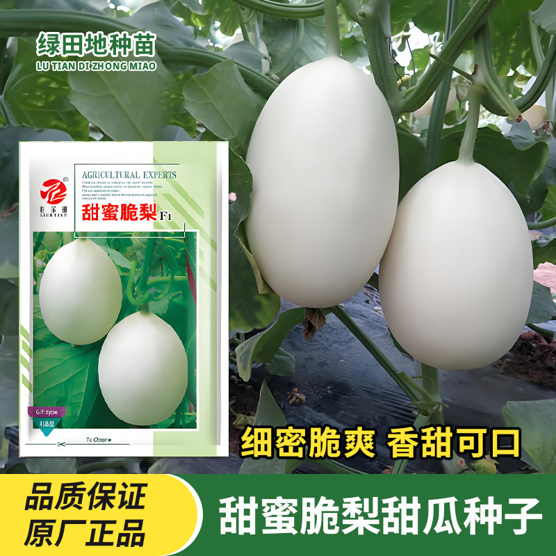 粒尔田甜蜜脆梨甜瓜种子