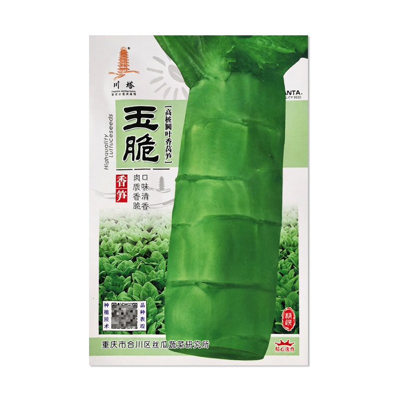 川塔玉脆莴笋种子高桩圆叶香笋