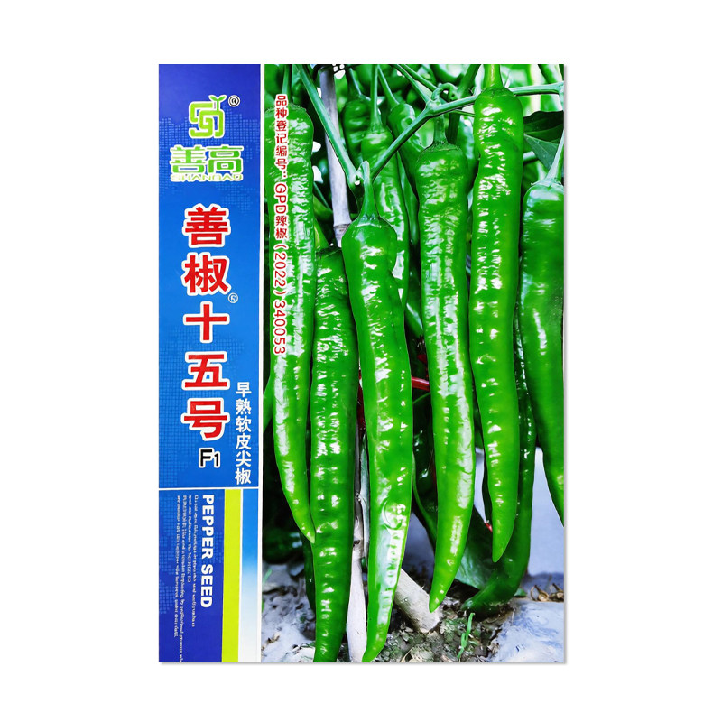 善高善椒十五号辣椒种子