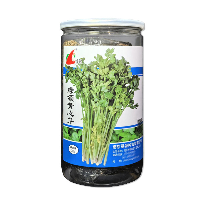绿领黄心芹菜种子蔬菜种子