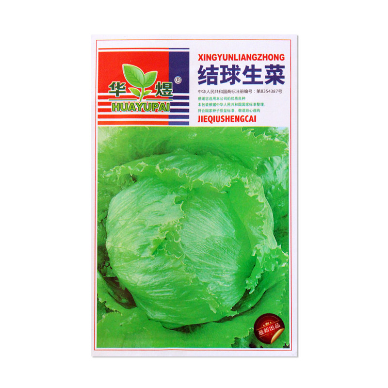 华煜结球生菜种子蔬菜种子