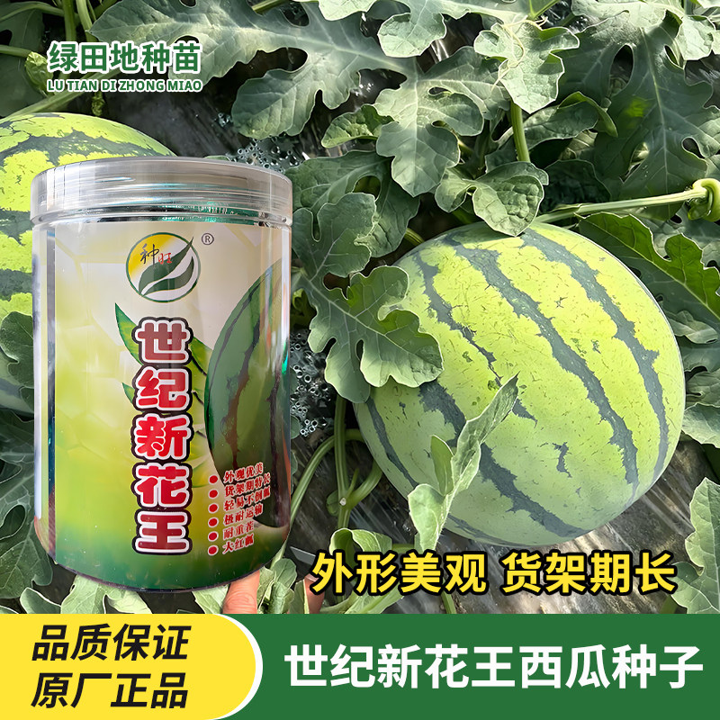种旺世纪新花王西瓜种子