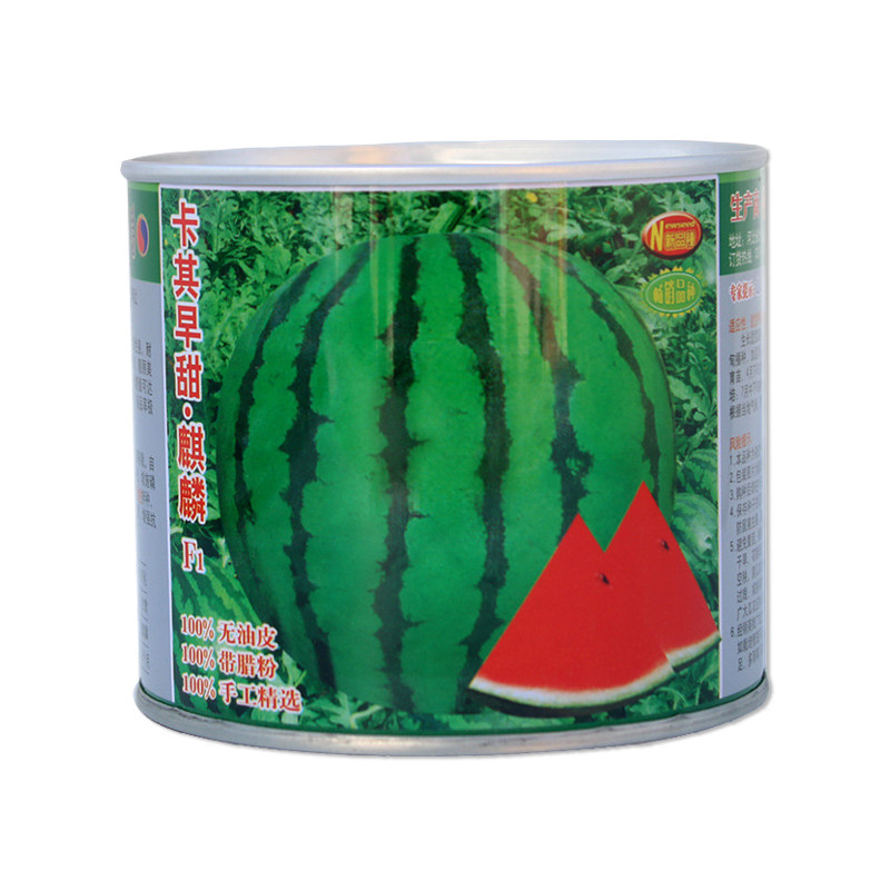 神禾种业卡其早甜麒麟西瓜种子