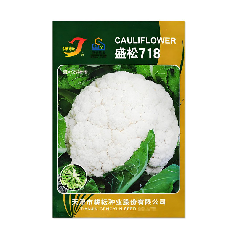 津耘盛松718青梗松花菜种子