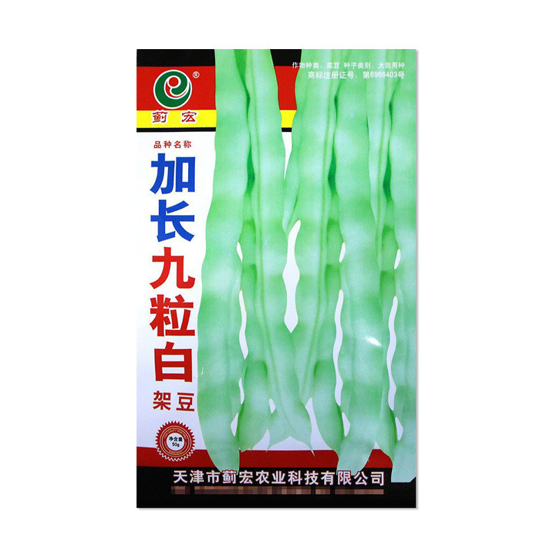 蓟宏加长九粒白架豆种子