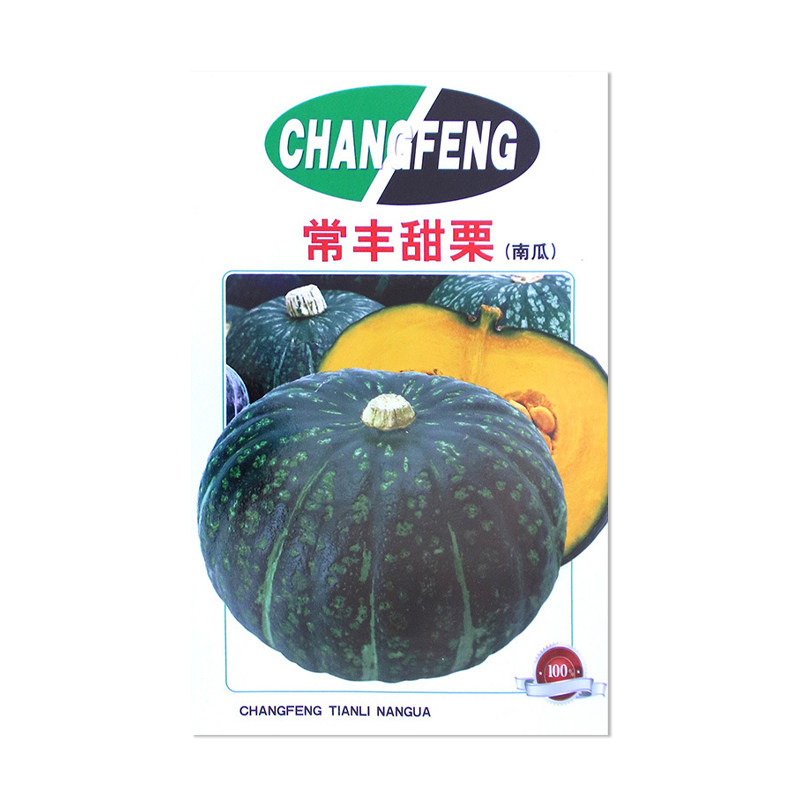 常丰甜栗南瓜种子中大果