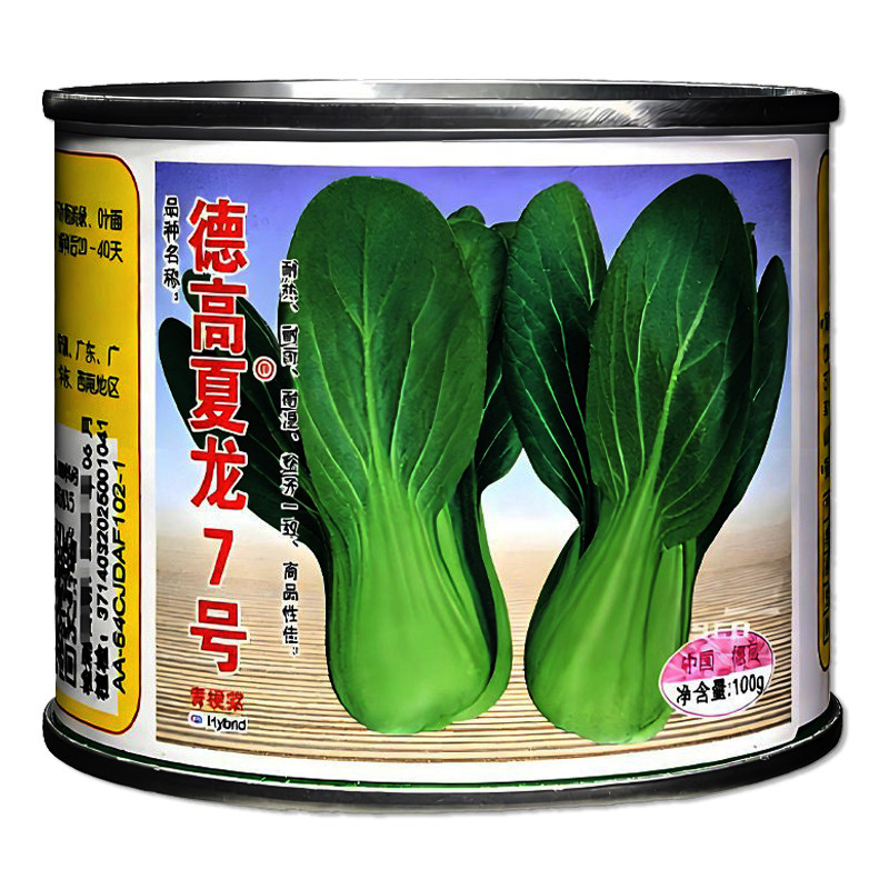 德高夏龙7号小白菜种子