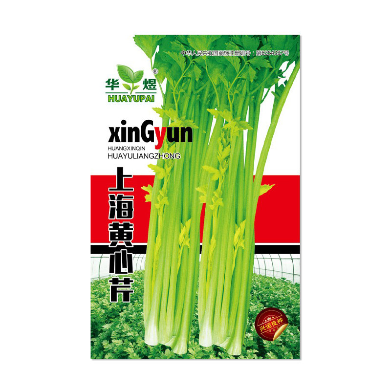 华煜上海黄心芹菜种子