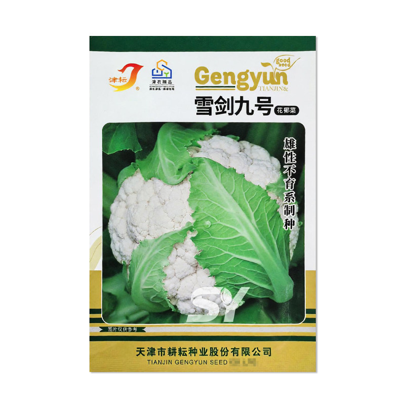 津耘雪剑九号花椰菜种子
